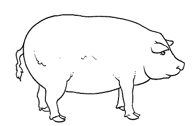 Świnki kolorowanki